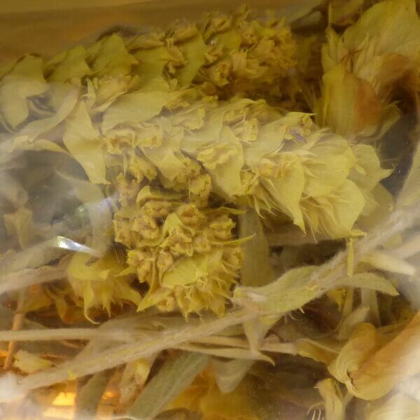 Kräutertee, griechischer Bergtee, (naturbelassene Blütenähren 50g)